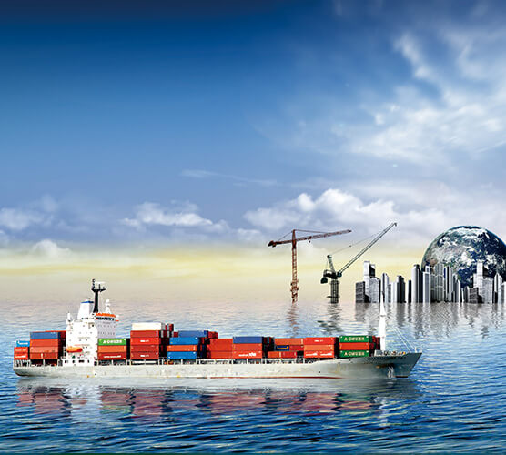 portfolio-image